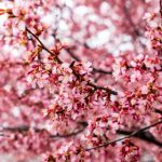 探索JK娱乐官网:畅享多样化的游戏体验与精彩活动 4z66dwxo