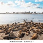 探索7m体育app:为您提供全面的体育赛事直播体验 hg8530