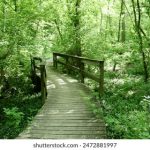 探索im体育在线:全面了解在线体育博彩的魅力与优势 m2aag0ii