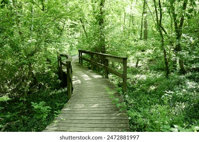 探索im体育在线:全面了解在线体育博彩的魅力与优势 探索im体育在线:全面了解在线体育博彩的魅力与优势