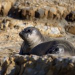 探索ca88vip官方网站:畅享全新在线娱乐体验 qjpsbwao54