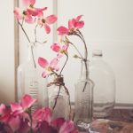 探索betball官方平台:畅享无与伦比的在线博彩体验 qkcaqjc