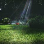 探索bifa888平台:在线娱乐的新选择与优势 v9lhjx