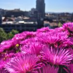 探索365博彩盘平台的优势与用户体验 w3l0xv0